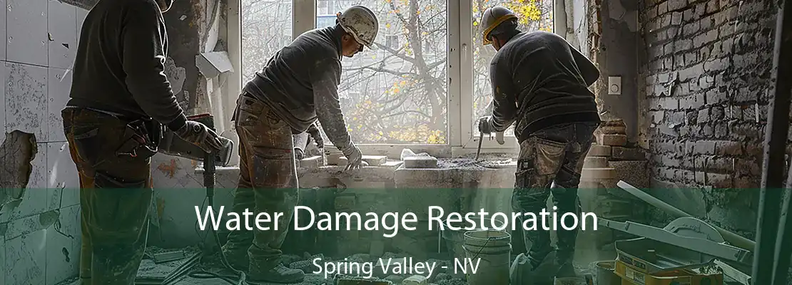 Water Damage Restoration Spring Valley - NV