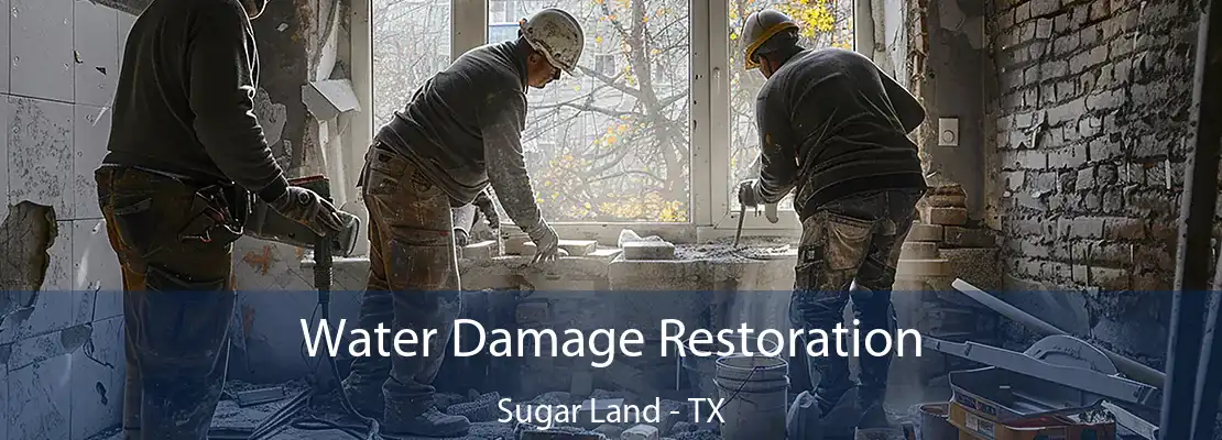 Water Damage Restoration Sugar Land - TX