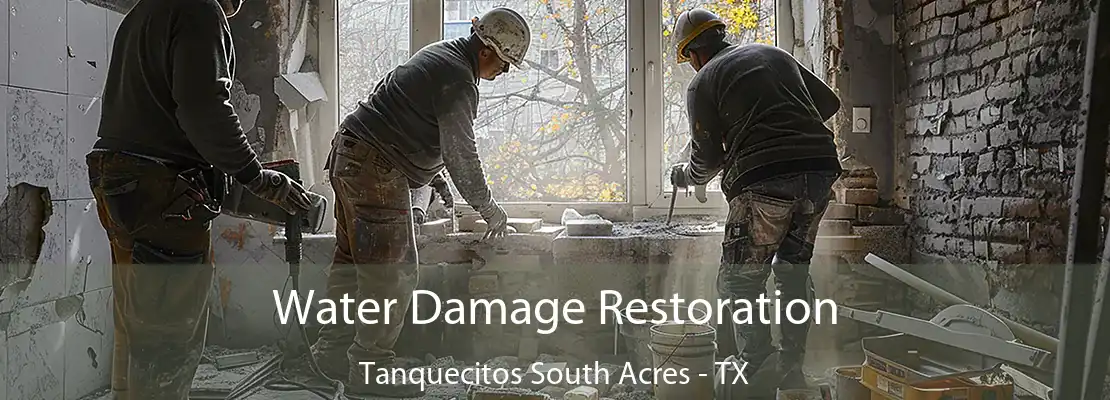 Water Damage Restoration Tanquecitos South Acres - TX