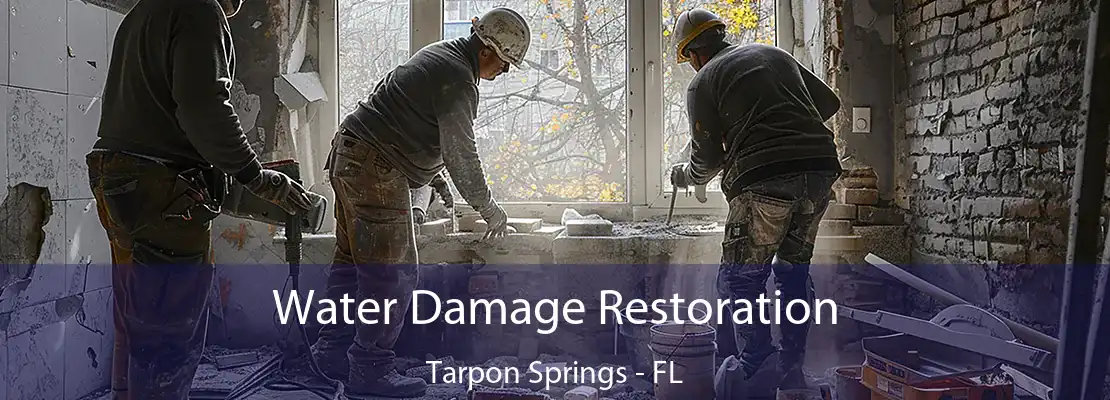 Water Damage Restoration Tarpon Springs - FL