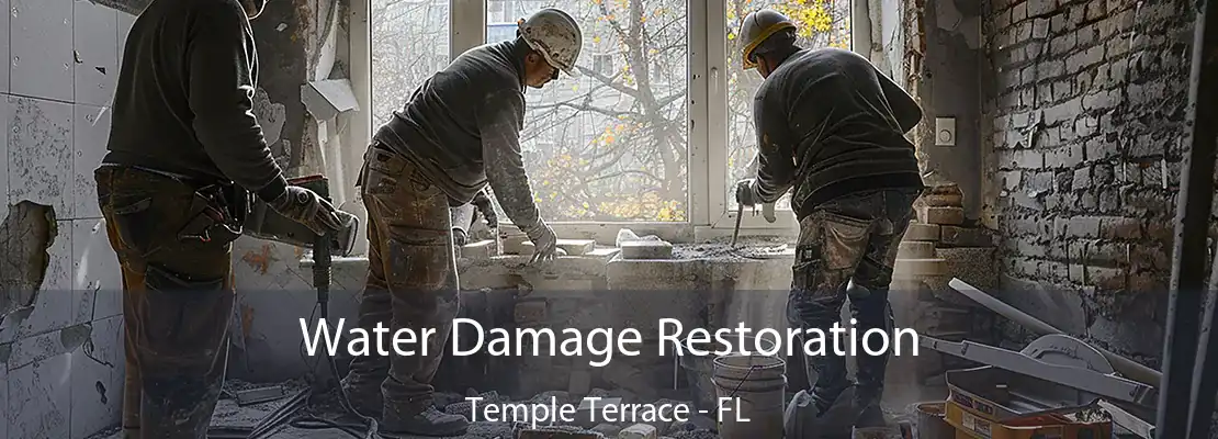 Water Damage Restoration Temple Terrace - FL