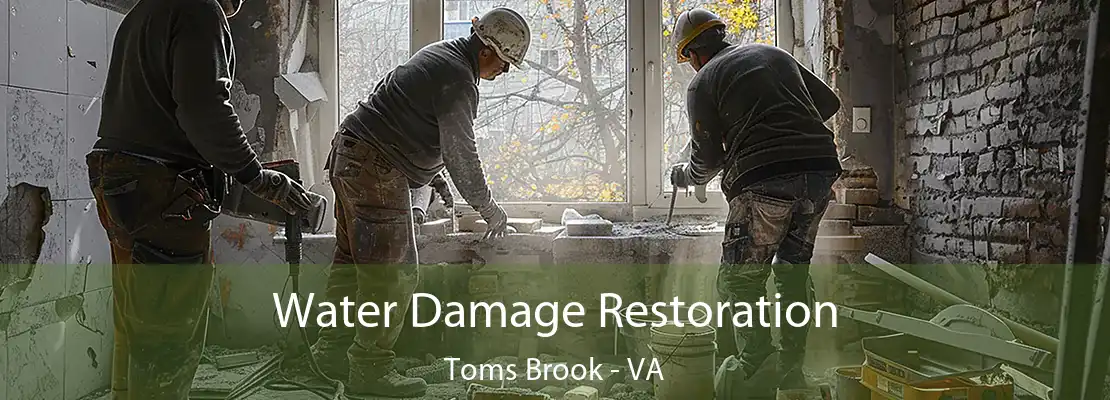 Water Damage Restoration Toms Brook - VA