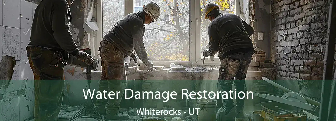 Water Damage Restoration Whiterocks - UT