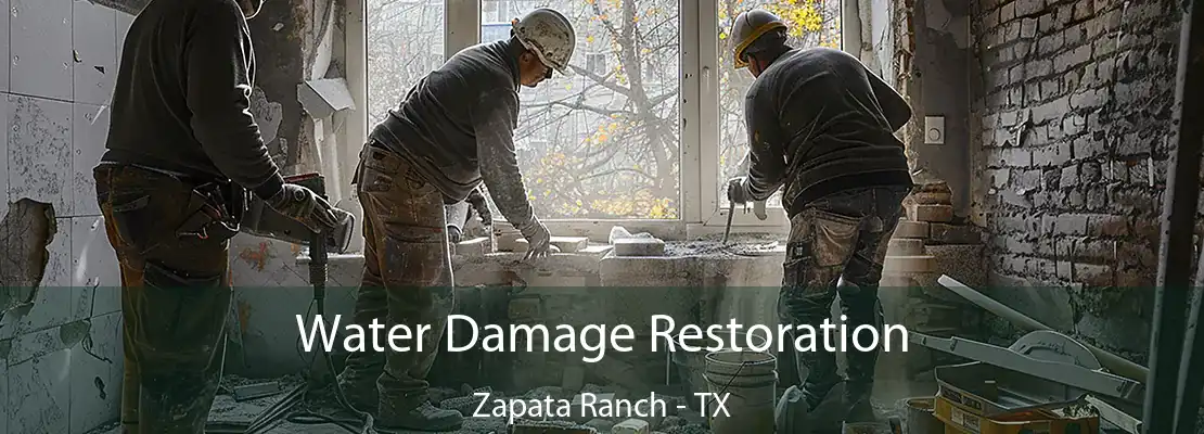 Water Damage Restoration Zapata Ranch - TX