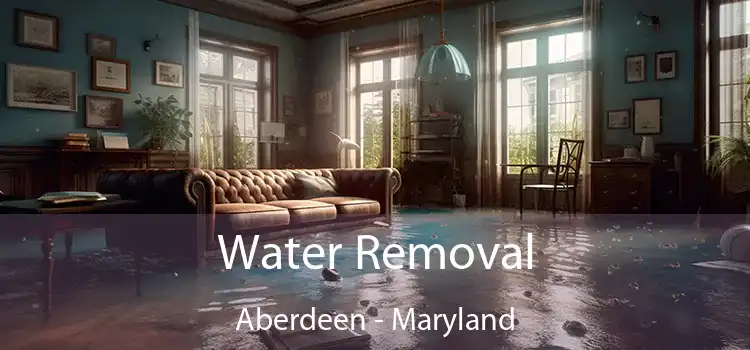 Water Removal Aberdeen - Maryland