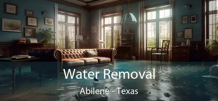 Water Removal Abilene - Texas