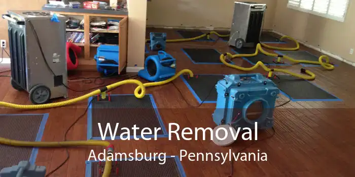 Water Removal Adamsburg - Pennsylvania