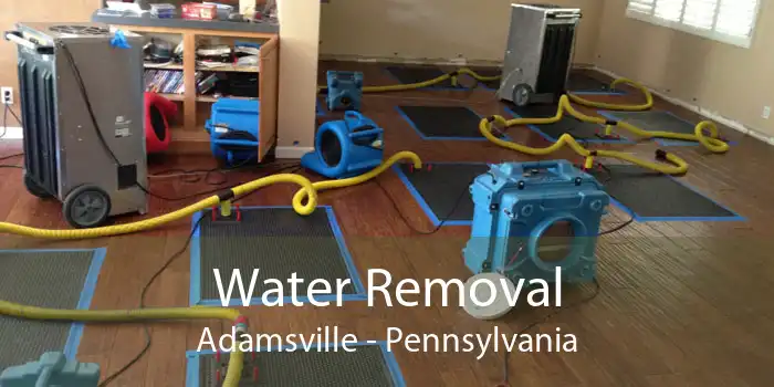 Water Removal Adamsville - Pennsylvania