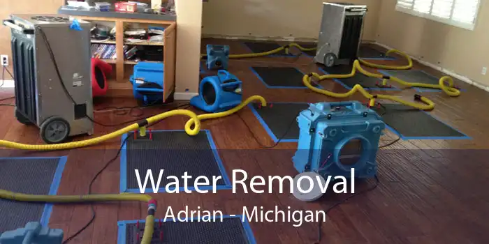 Water Removal Adrian - Michigan