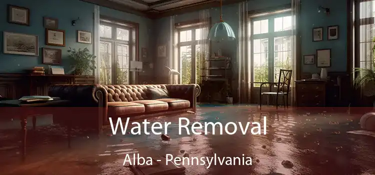 Water Removal Alba - Pennsylvania