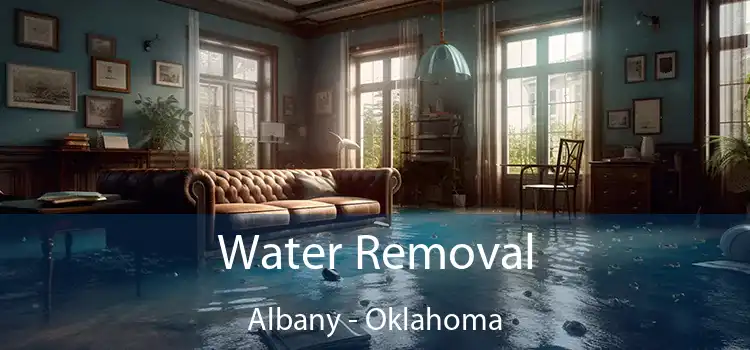 Water Removal Albany - Oklahoma