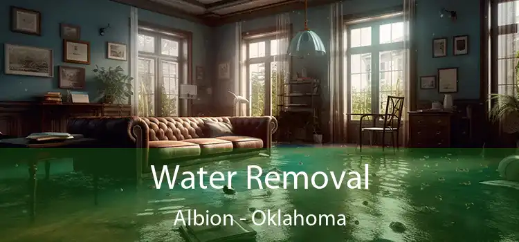 Water Removal Albion - Oklahoma