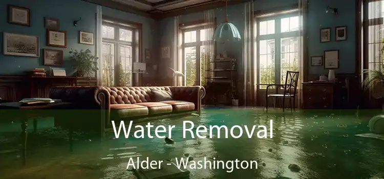 Water Removal Alder - Washington