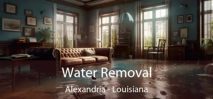 Water Removal Alexandria - Louisiana