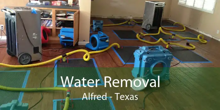 Water Removal Alfred - Texas