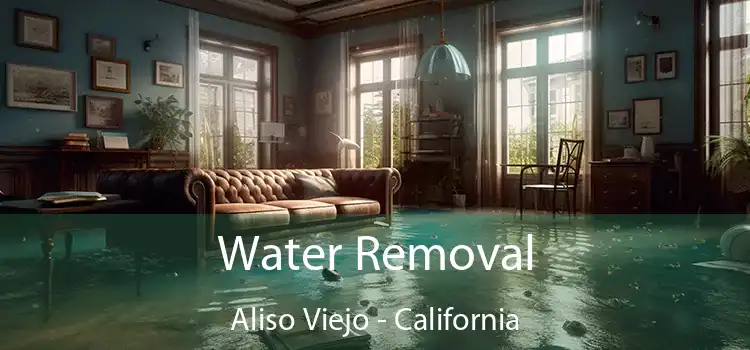 Water Removal Aliso Viejo - California