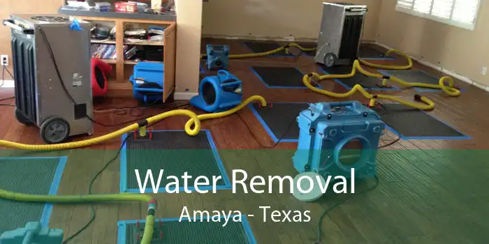 Water Removal Amaya - Texas