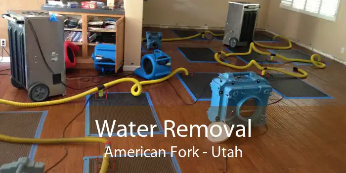 Water Removal American Fork - Utah