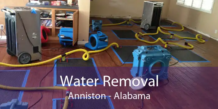 Water Removal Anniston - Alabama