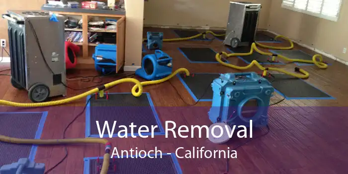 Water Removal Antioch - California