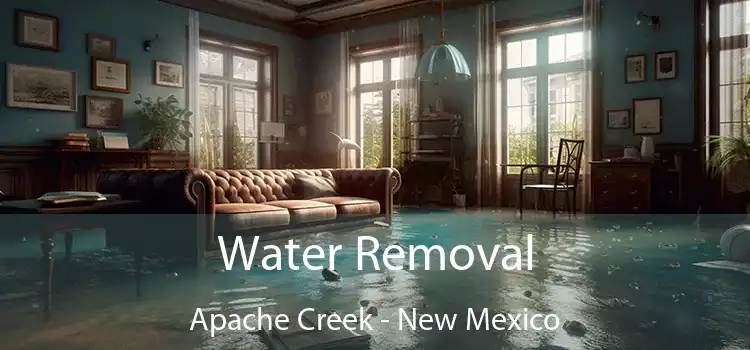 Water Removal Apache Creek - New Mexico