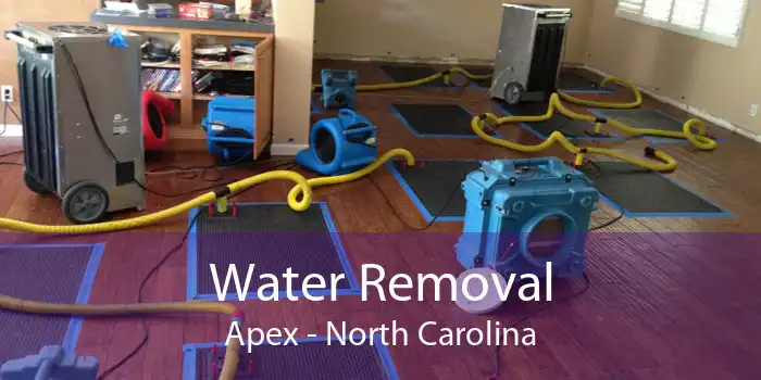 Water Removal Apex - North Carolina
