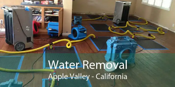 Water Removal Apple Valley - California