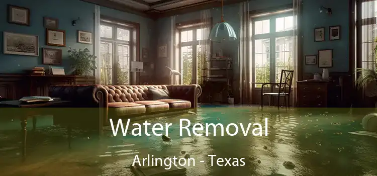 Water Removal Arlington - Texas