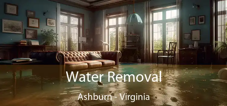 Water Removal Ashburn - Virginia