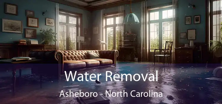 Water Removal Asheboro - North Carolina