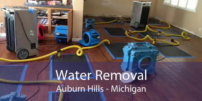 Water Removal Auburn Hills - Michigan