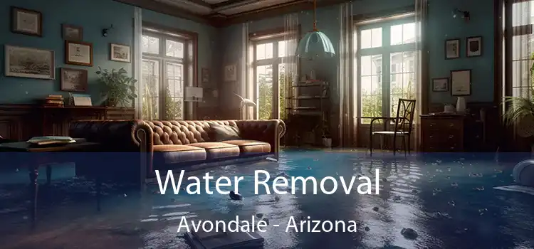 Water Removal Avondale - Arizona