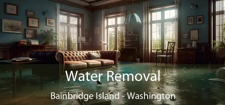 Water Removal Bainbridge Island - Washington