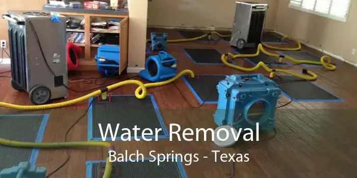 Water Removal Balch Springs - Texas