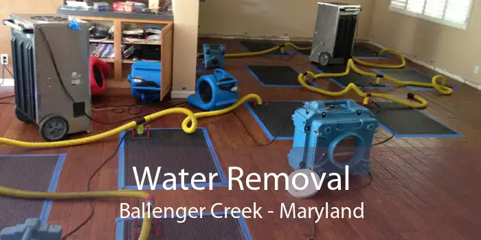 Water Removal Ballenger Creek - Maryland