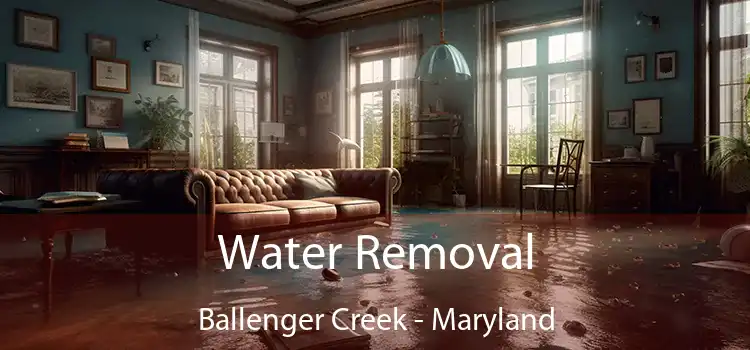 Water Removal Ballenger Creek - Maryland