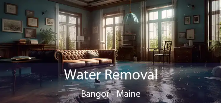 Water Removal Bangor - Maine