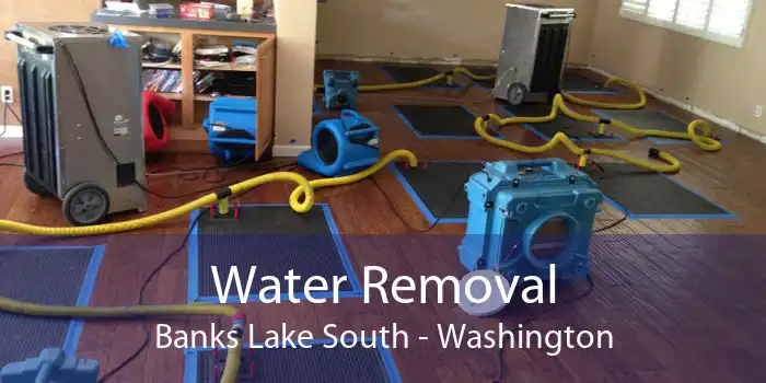 Water Removal Banks Lake South - Washington