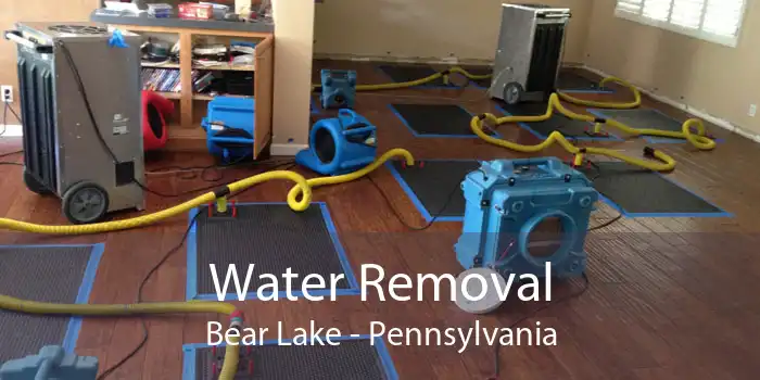 Water Removal Bear Lake - Pennsylvania
