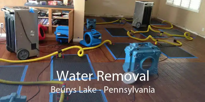 Water Removal Beurys Lake - Pennsylvania