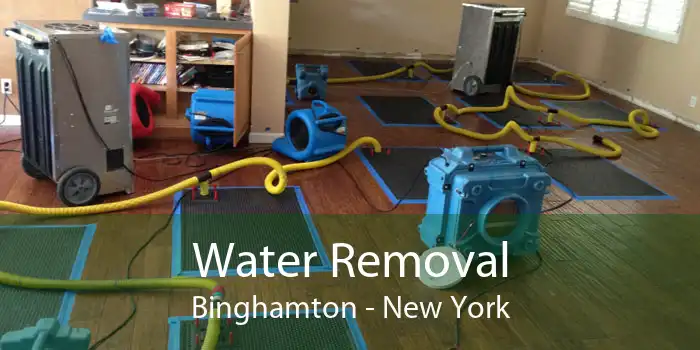 Water Removal Binghamton - New York