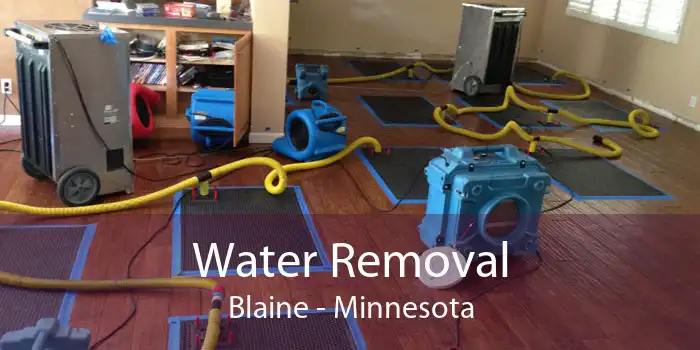 Water Removal Blaine - Minnesota