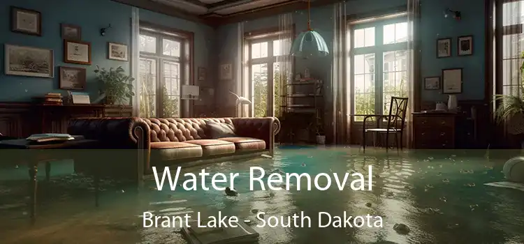 Water Removal Brant Lake - South Dakota