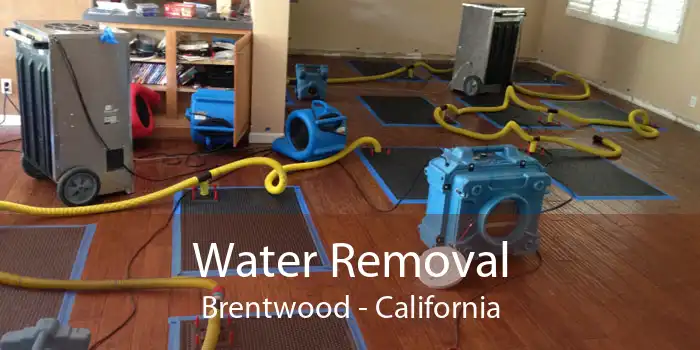 Water Removal Brentwood - California