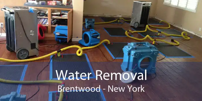 Water Removal Brentwood - New York