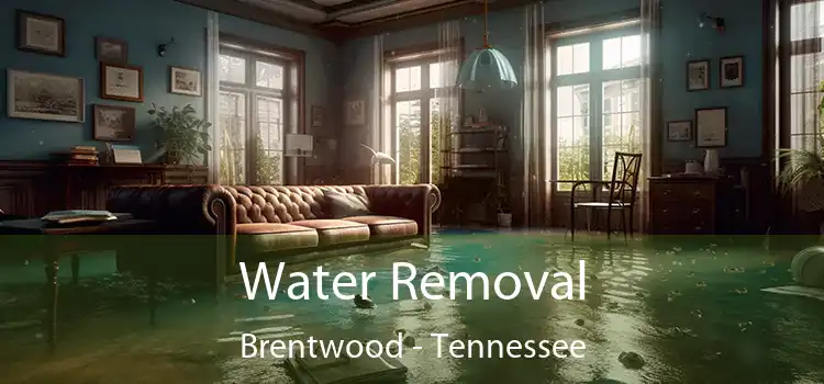 Water Removal Brentwood - Tennessee