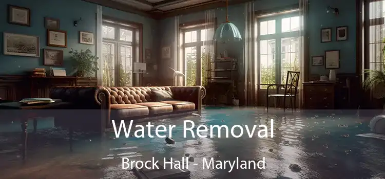 Water Removal Brock Hall - Maryland