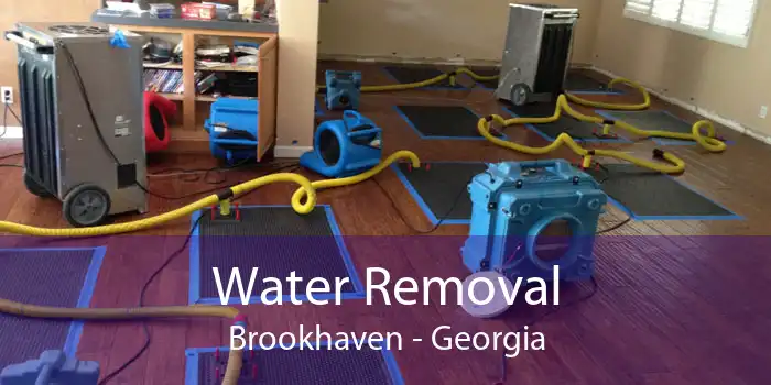 Water Removal Brookhaven - Georgia