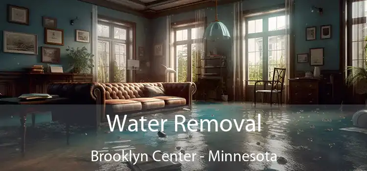 Water Removal Brooklyn Center - Minnesota