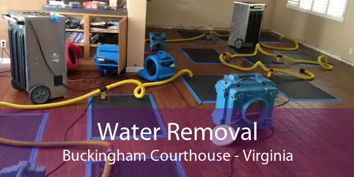 Water Removal Buckingham Courthouse - Virginia